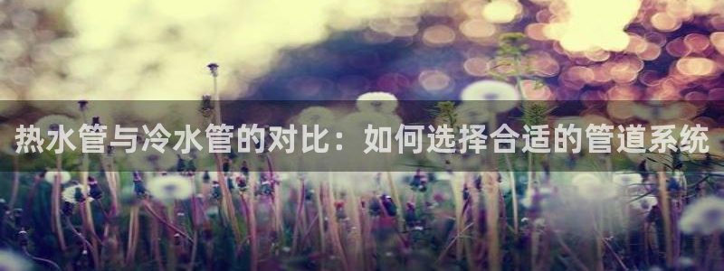 天辰娱乐路线