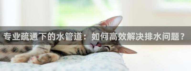 天辰娱乐视频