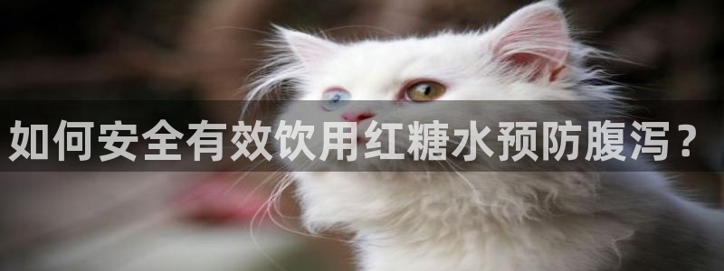 天辰娱乐娱乐平台