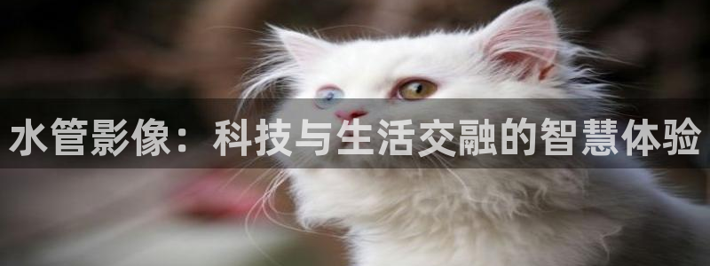 天辰娱乐下载链接